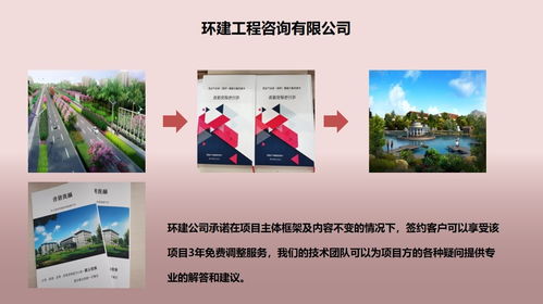 大丰写可行性报告 加急出稿