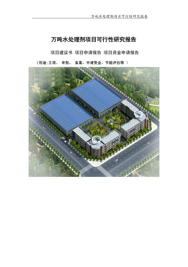 万吨水处理剂项目可行性研究报告