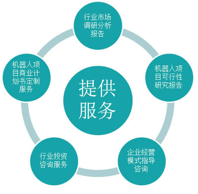 可行性报告与可行性研究报告 概念、重要性与应用解析