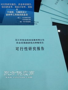 机器人及智能装备项目可行性研究报告撰写提纲