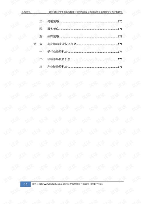 2019-2024年中国真皮棒球行业市场深度研究及发展前景投资可行性分析报告